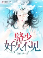 《骆少，好久不见》封面