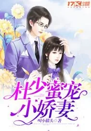 《杜少蜜宠小娇妻》封面
