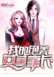 《我的绝美女董事长》封面