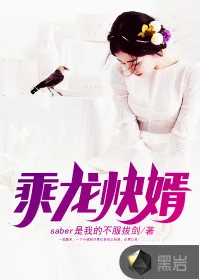 《乘龙快婿》封面