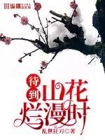 《山花烂漫时》封面