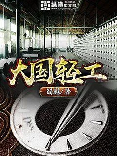 《大国轻工》封面