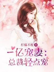 《一亿宠妻：总裁轻点宠》小说封面