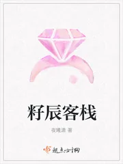 《籽辰客栈》封面