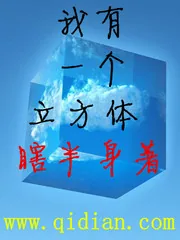 《我有一个立方体》封面