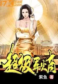 《超级军火商》封面