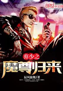 《弃少之魔尊归来》封面