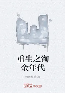 《重生之淘金年代》封面