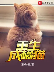 《重生成橘猫》封面