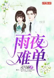 《雨夜难单》封面