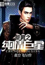 《跑男之纯情巨星》小说封面