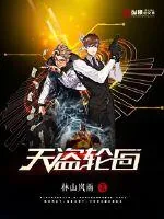 《天盗轮回》封面