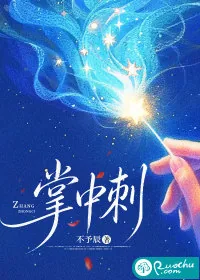 《掌中刺》小说封面