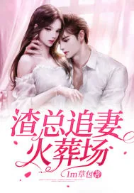 《渣总追妻火葬场》小说封面