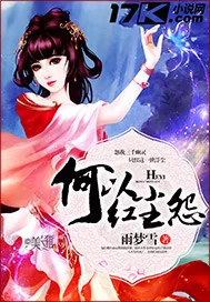 《何以红尘怨》封面