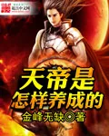《天帝是怎样养成的》封面
