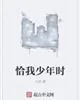 《恰我少年时》封面