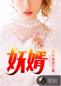 《妖婿》封面