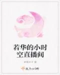 《若华的小时空直播间》封面