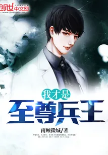 《我才是至尊兵王》封面