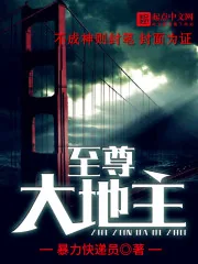 《至尊大地主》封面