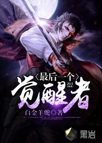 《最后一个觉醒者》封面