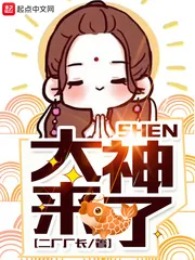 《大神，来了》封面