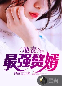《地表最强赘婿》封面
