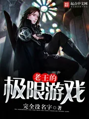 《老王的极限游戏》封面