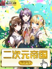 《二次元帝国》封面