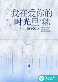 《我在爱你的时光里，颠沛流离》封面