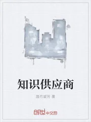 《知识供应商》封面