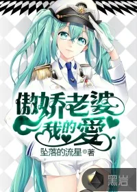《傲娇老婆我的爱》封面