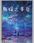 《韩娱之寻觅》封面