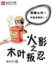 《火影之木叶叛忍》封面