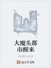 《大魔头都市醒来》封面