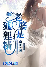 《我的老婆是狐狸精》封面