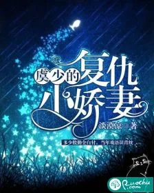 《虞少的复仇小娇妻》小说封面