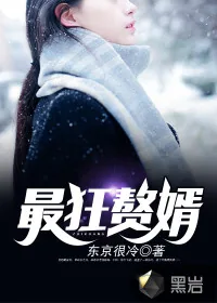 《最狂赘婿》封面