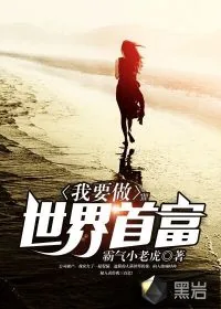 《我要做世界首富》封面