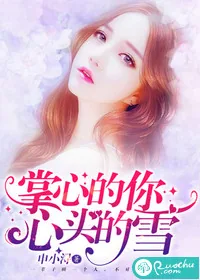 《掌心的你，心头的雪》封面
