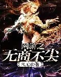 《网游之无商不尖》小说封面