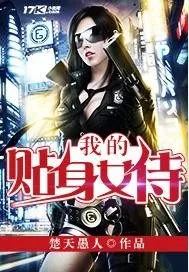 《我的贴身女侍》封面