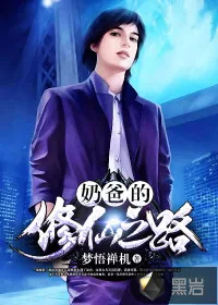 《奶爸的修仙之路》封面