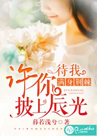 《待我满身荆棘,许你披上晨光》小说封面