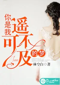 《你是我遥不可及的梦》封面