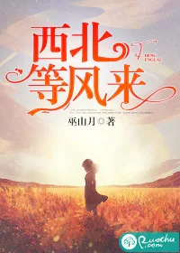 《西北等风来》封面