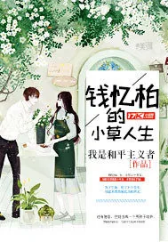《钱忆柏的小草人生》封面