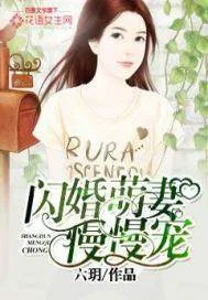 《闪婚萌妻慢慢宠》封面