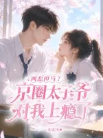 《网恋掉马？京圈太子爷对我上瘾了》封面